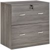 2 Drawer File Cabinet with Lock, Office Filing Cabinet, Hanging Bar for Letter Size, Home Office, Grey