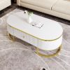 Modern Oval Coffee Table with Drawers,Curved Profile Design, Gold Metal Decor, Center Table for Living Room in 47.2"