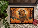 NEW Shar Pei Fall Doormat Front Door Mat Indoor Outdoor Rugs for Entryway, Non Slip Washable Low Pile, 18H X 27W