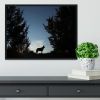 Picture of a wolf dog at dusk. Framed Print